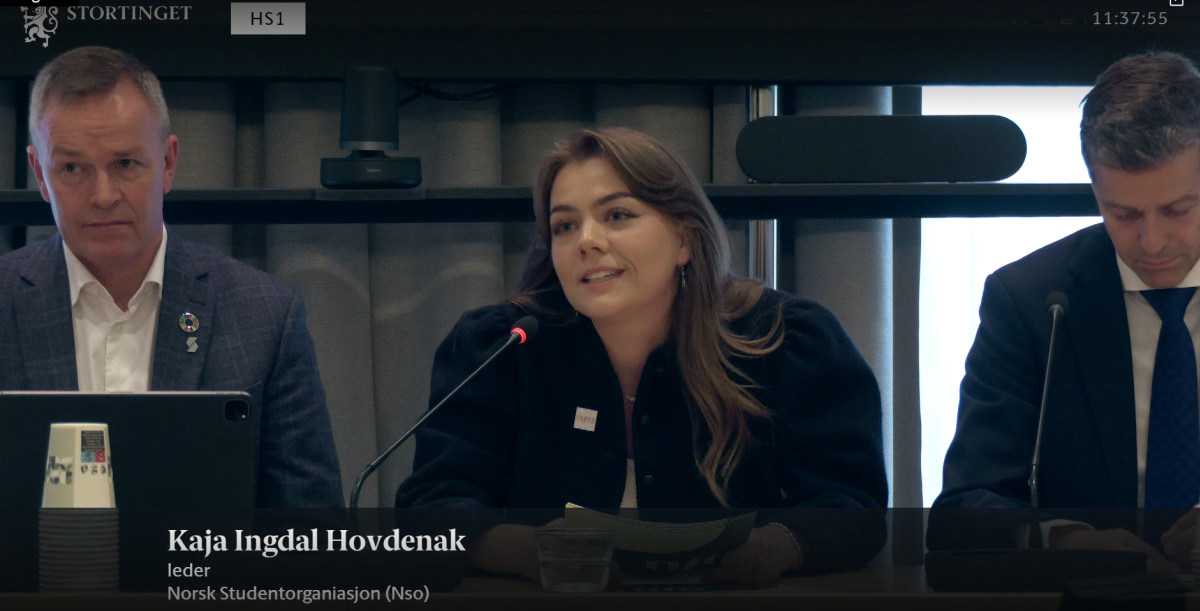 NSO i Stortingets finanskomité