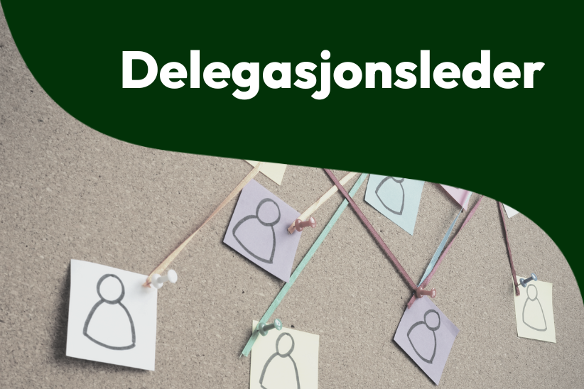 Delegasjonsleder 2026