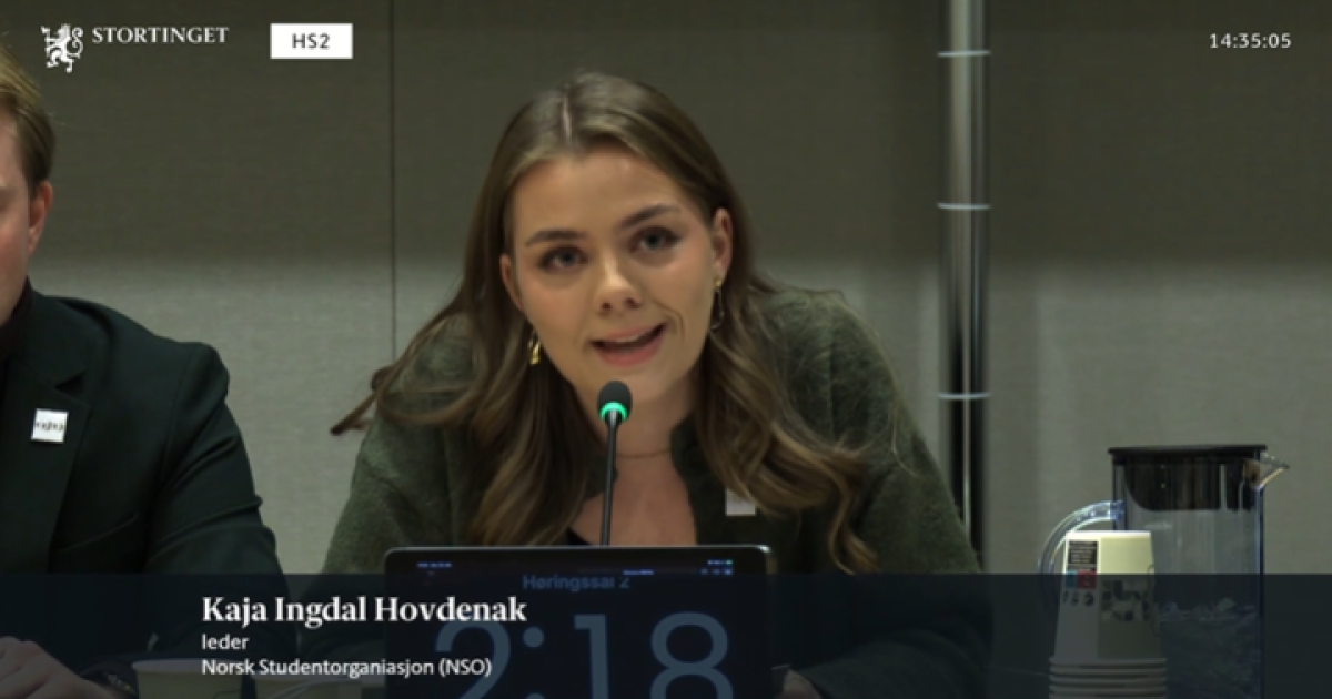 NSO i Stortingets utdannings- og forskningskomit&eacute;