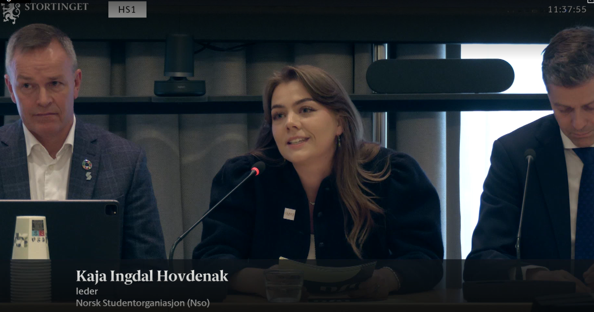 NSO i Stortingets finanskomit&eacute;