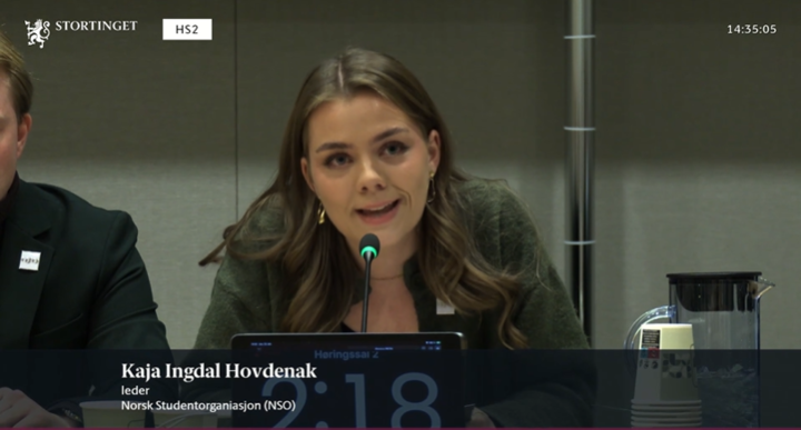 NSO i Stortingets utdannings- og forskningskomit&eacute;