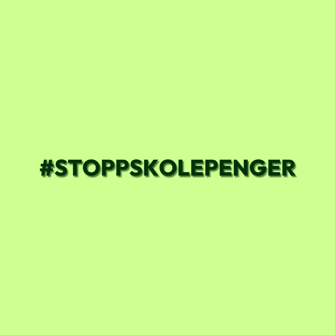 En s&oslash;rgelig dag for lik rett til utdanning