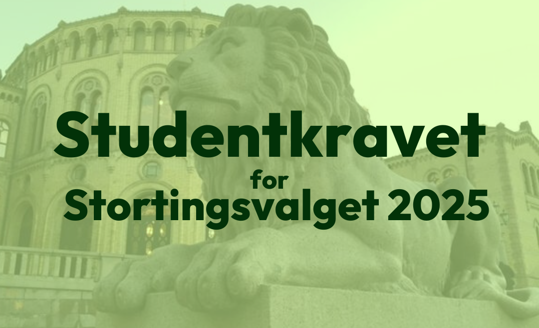 NSOs valgprioriteringer for stortingsperioden 2025-2029