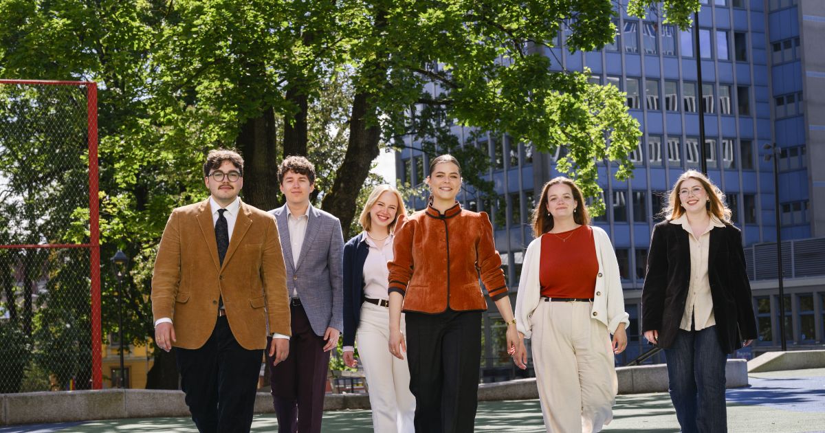 Norsk studentorganisasjon (NSO) s&oslash;ker organisasjonsr&aring;dgiver