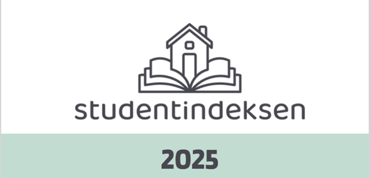 Studenter i Norge har ikke råd til å leie bolig uten ekstra inntekt